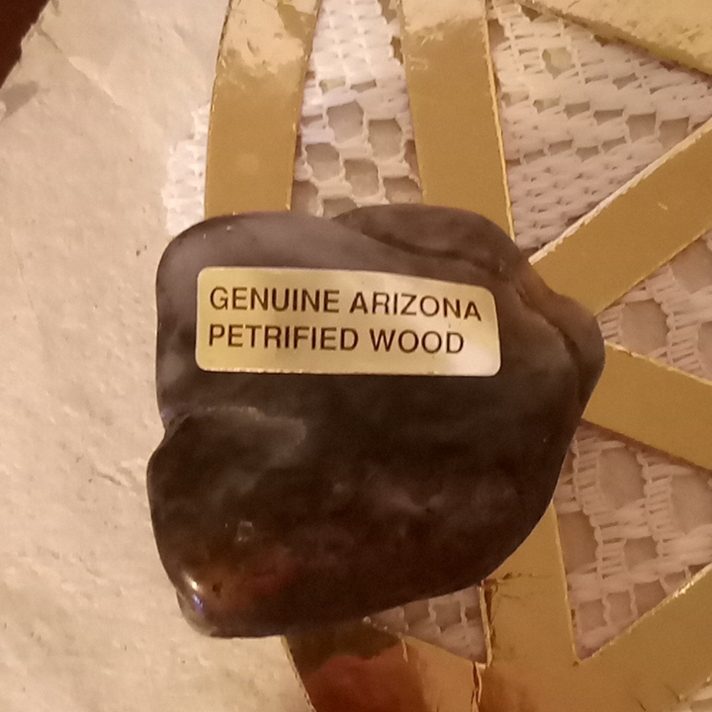 Arizona petrified wood